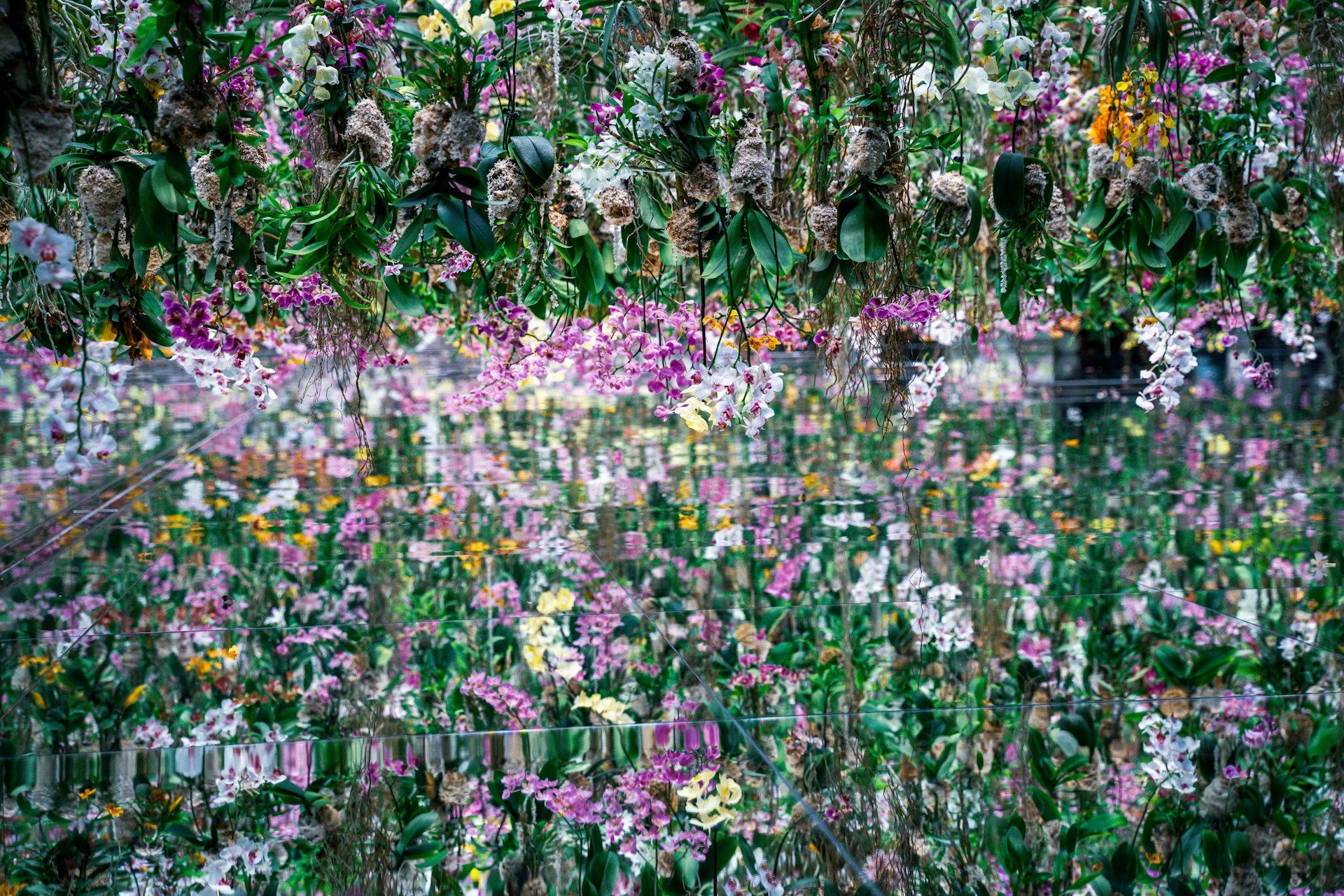 teamLab Planets