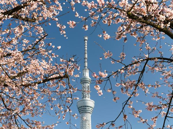 Tokyo Skytree